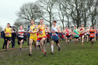 Senior boys 2019 New Balance English Schools Cross Country Champs, Temple Newsam, Leeds. Photo:  David T. Hewitson/Sports for All Pics